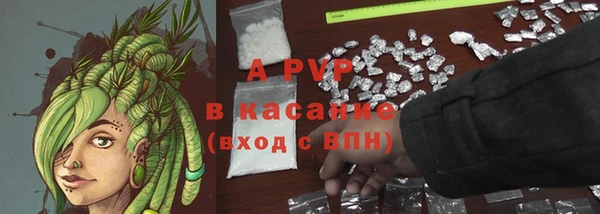 не бодяженный Бородино