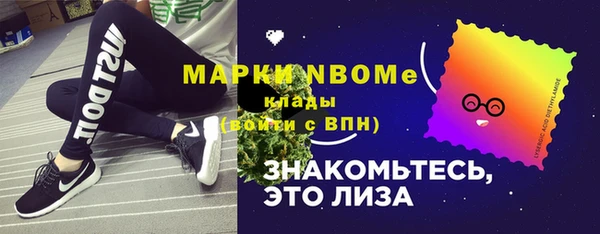 Альфа ПВП Верея