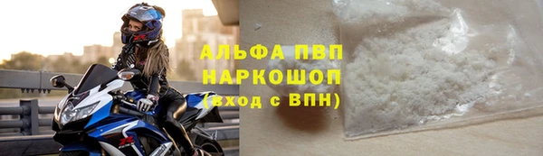 Альфа ПВП Верея