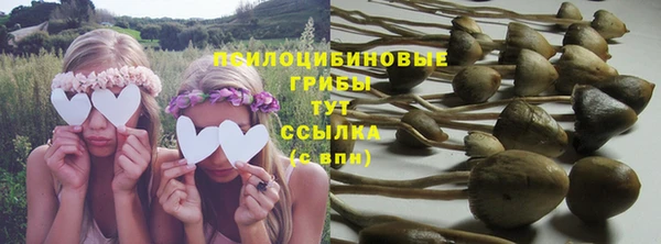 не бодяженный Бородино